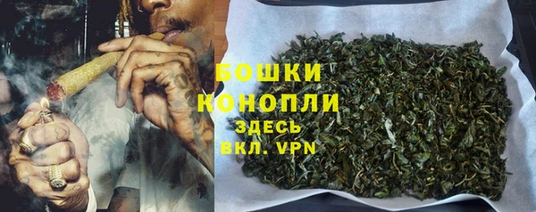 амф Дмитровск