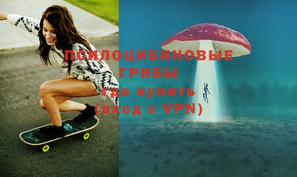 прущий лед Дмитров