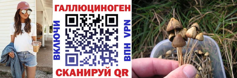мега маркетплейс  Каспийск  Галлюциногенные грибы Cubensis  купить наркотики сайты 