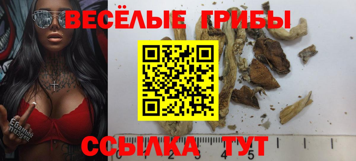 Галлюциногенные грибы Cubensis  Вход с VPN  Псилоцибиновые грибы GOLDEN TEACHER  закладка  Каспийск 